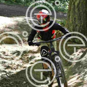 NIC_7962_tn