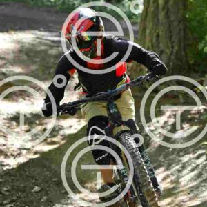 NIC_7964_tn