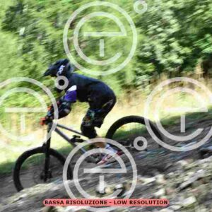NIC_8124_tn