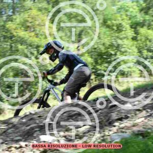 NIC_8174_tn