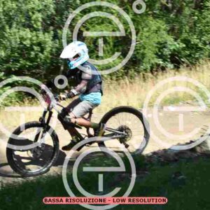 NIC_8204_tn