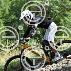NIC_8270_tn