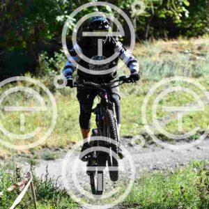 NIC_8342_tn