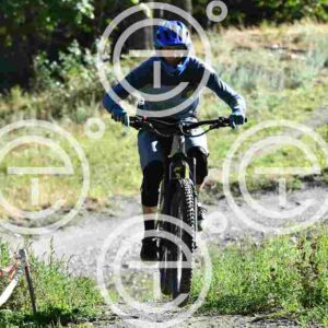 NIC_8349_tn