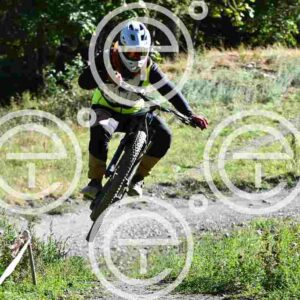 NIC_8352_tn