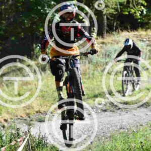 NIC_8374_tn