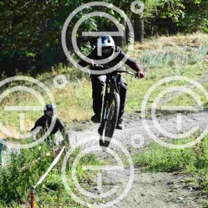 NIC_8379_tn