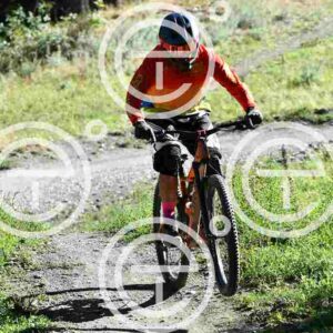 NIC_8406_tn