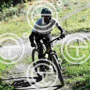 NIC_8459_tn