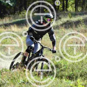 NIC_8466_tn
