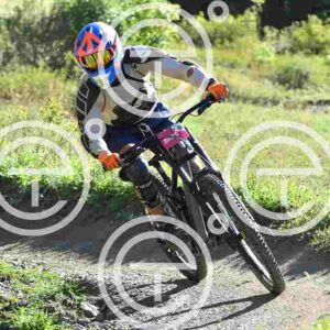 NIC_8474_tn