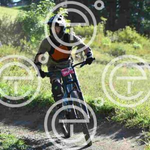 NIC_8479_tn