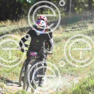 NIC_8484_tn