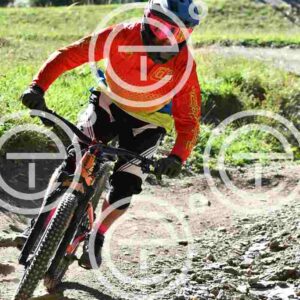 NIC_8557_tn