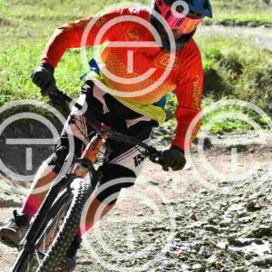 NIC_8558_tn
