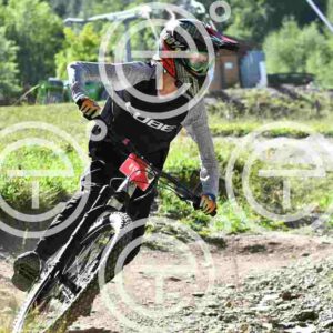 NIC_8611_tn