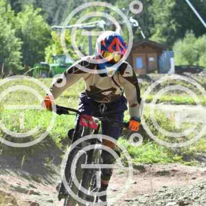 NIC_8640_tn