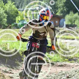 NIC_8641_tn