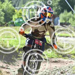 NIC_8642_tn