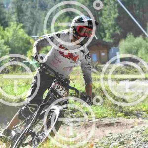 NIC_8703_tn