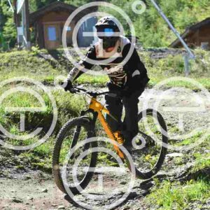 NIC_8743_tn