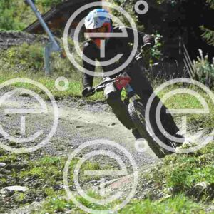 NIC_8749_tn