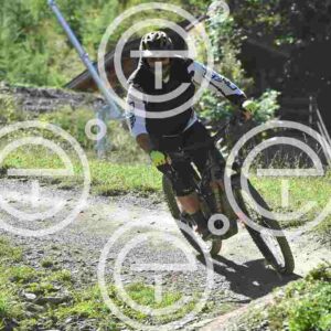 NIC_8775_tn