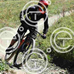 NIC_8792_tn