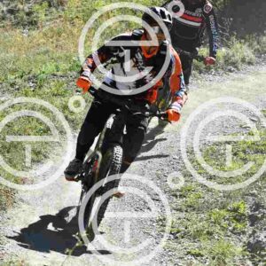 NIC_8805_tn