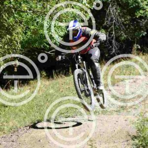 NIC_9005_tn