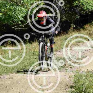NIC_9014_tn