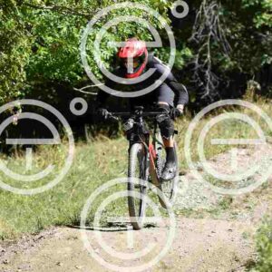 NIC_9015_tn