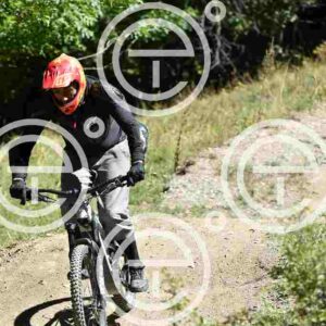 NIC_9043_tn