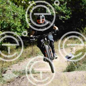 NIC_9073_tn