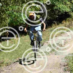 NIC_9079_tn