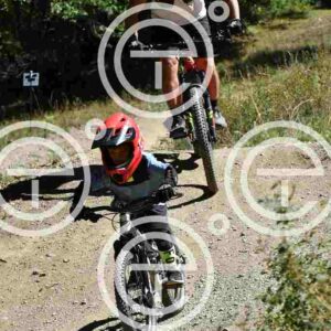 NIC_9107_tn