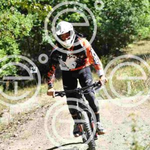 NIC_9135_tn