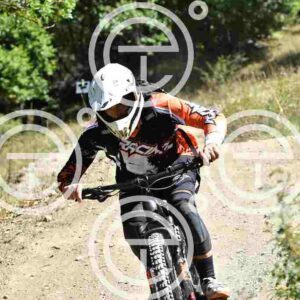 NIC_9137_tn