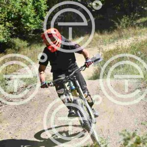 NIC_9153_tn