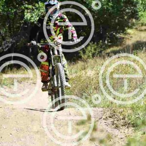 NIC_9171_tn