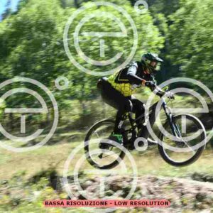 NIC_9185_tn