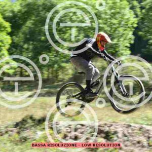 NIC_9194_tn
