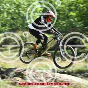 NIC_9205_tn
