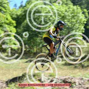NIC_9208_tn