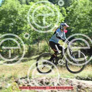 NIC_9237_tn