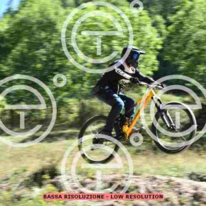 NIC_9245_tn