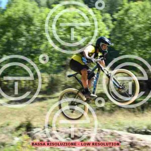 NIC_9304_tn