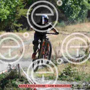 NIC_9304_tn