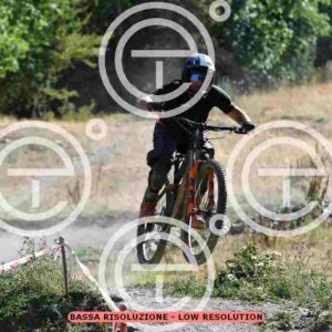 NIC_9305_tn