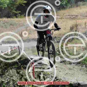 NIC_9325_tn